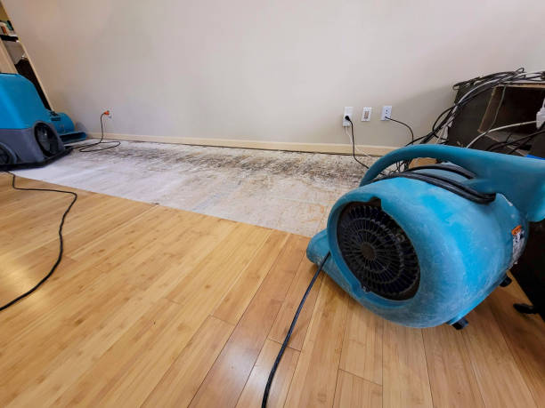 Professional Water Extraction technician working in Antioch, CA